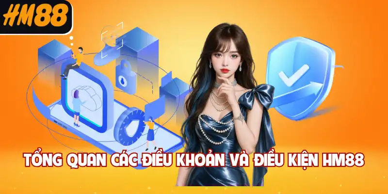 Tổng quan các điều khoản và điều kiện HM88
